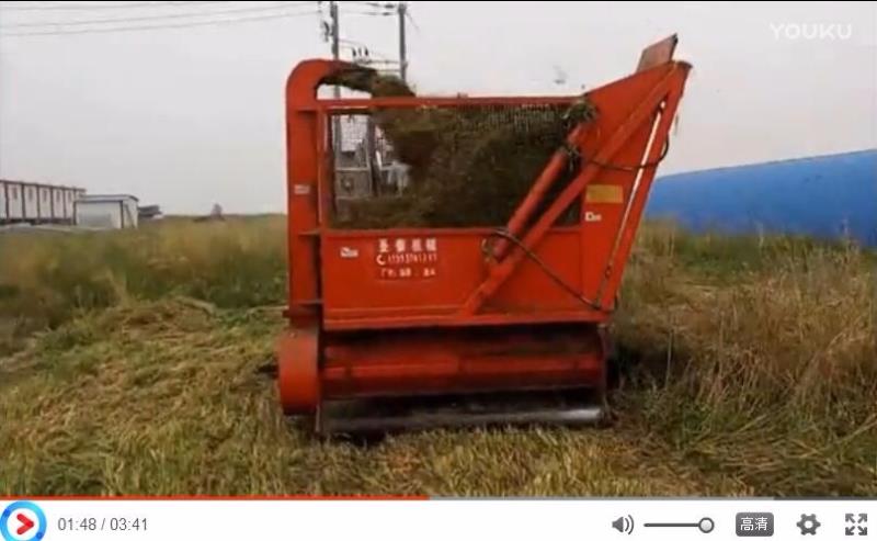 安徽省阜阳市回收机收割大麦草现场